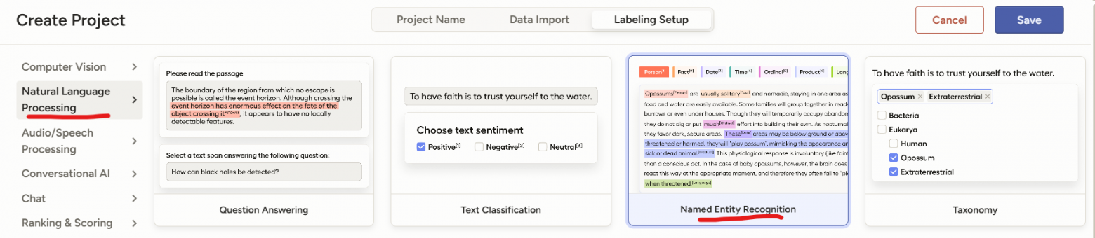 Выбор NER разметки в Label Studio